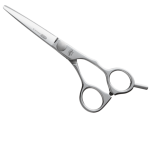 Kantai Profesional - CUT ACH